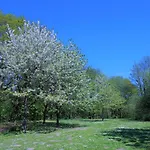 Panoramic App A03-5